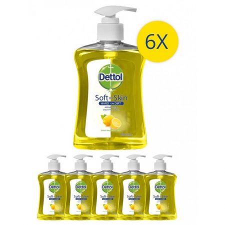 Pachet Sapun Lichid DETTOL cu citrice, 6 x 250 ml - CLICK AICI PENTRU DETALII